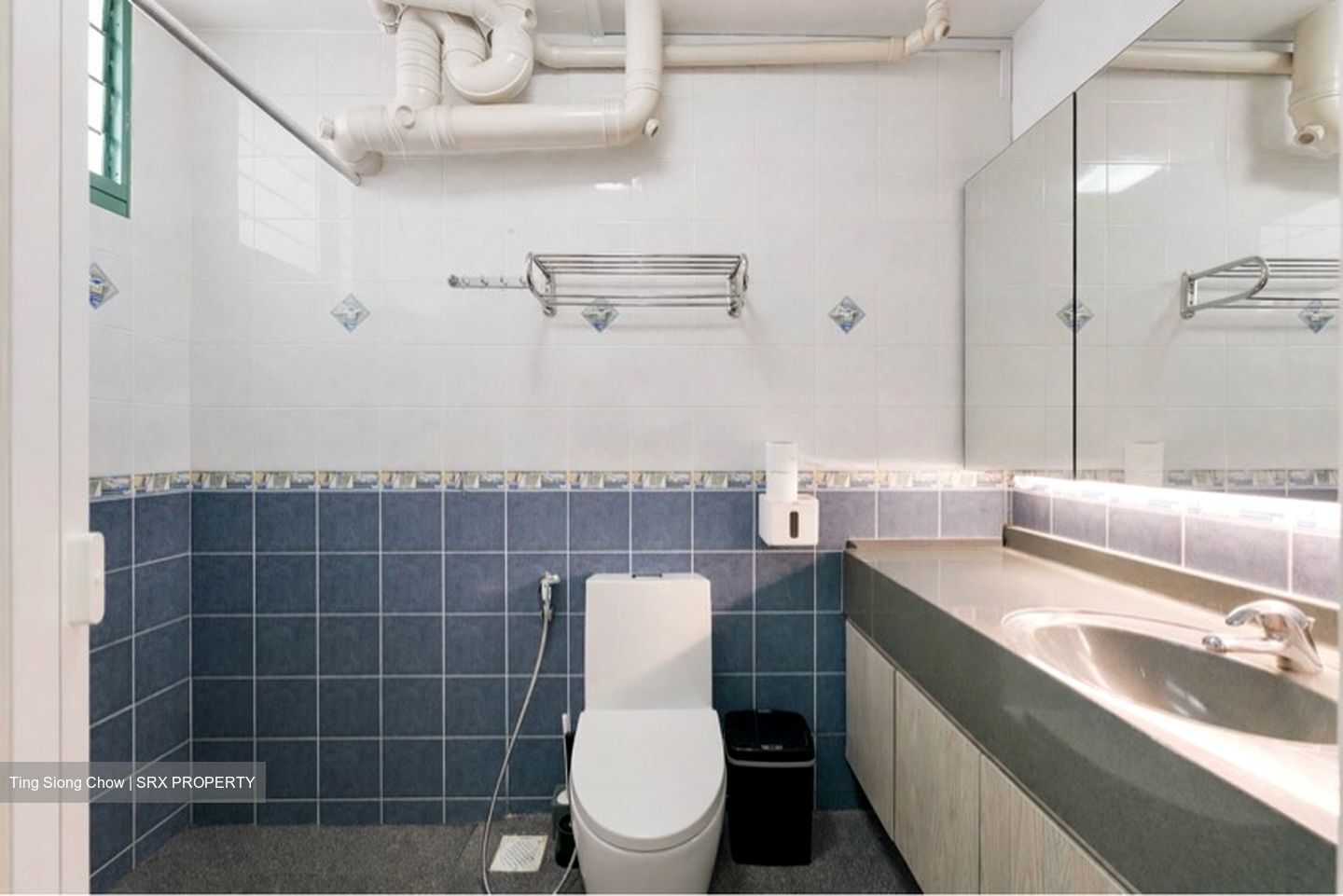 Blk 484 Segar Gardens (Bukit Panjang), HDB Executive #547359611